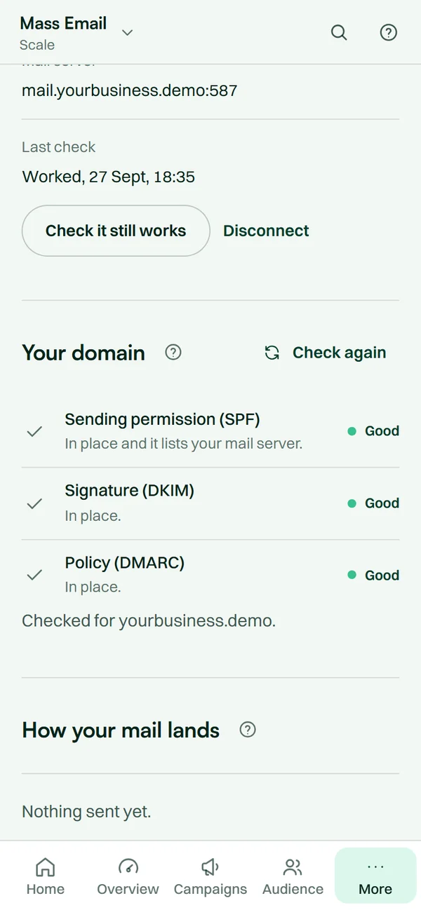The Mass Email app on a phone: the sending domain with its SPF, DKIM and DMARC checks.
